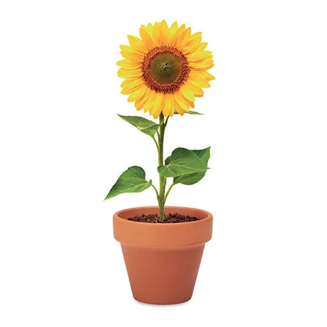 TERRACCOTTA POT SUNFLOWER