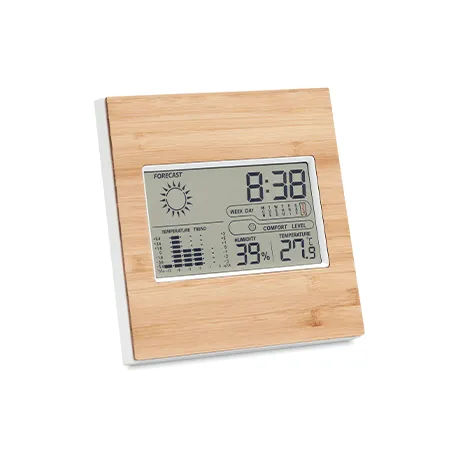 WEATHER STATION