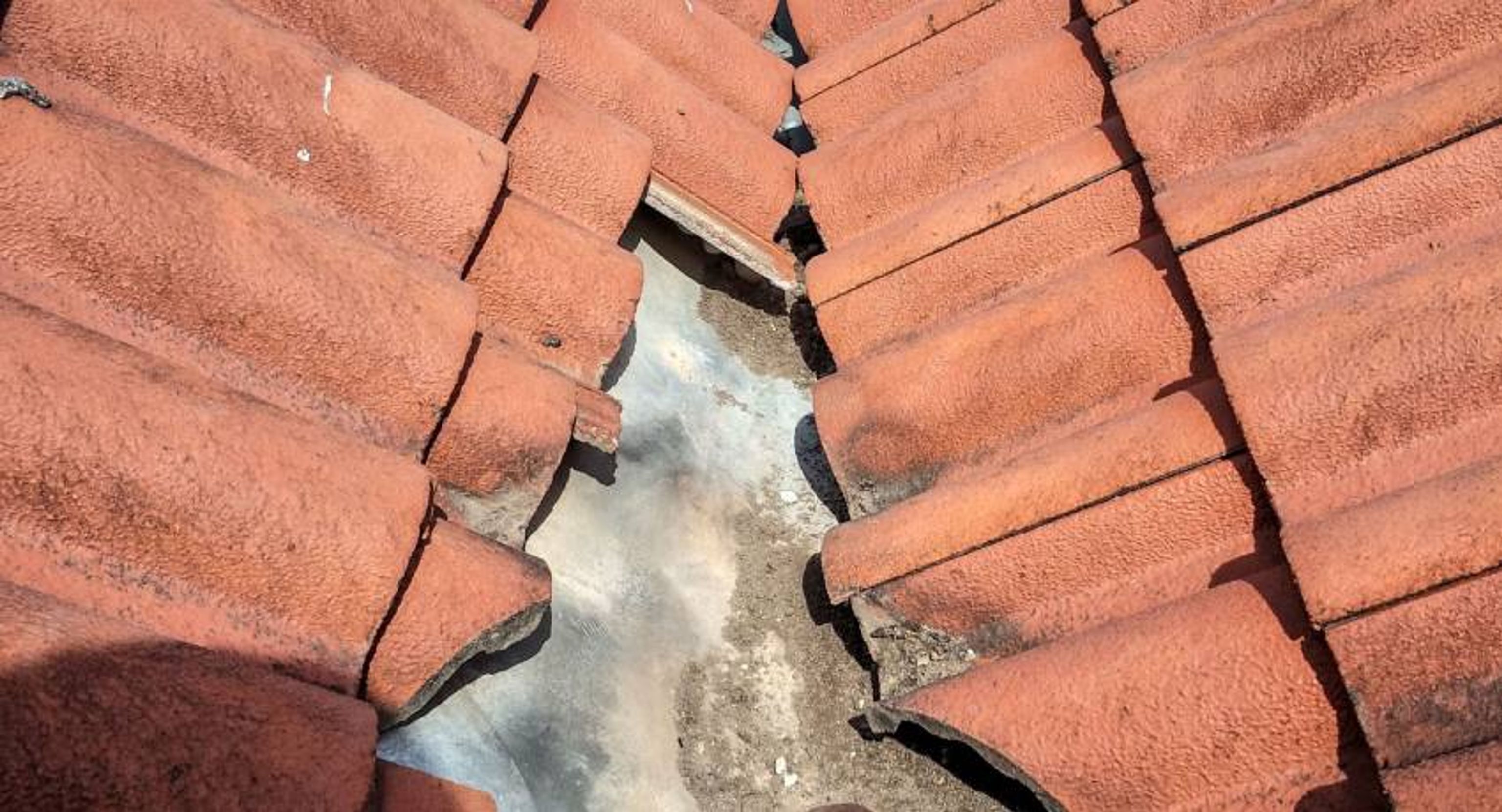 Alles wat u moet weten over dakrenovatie.