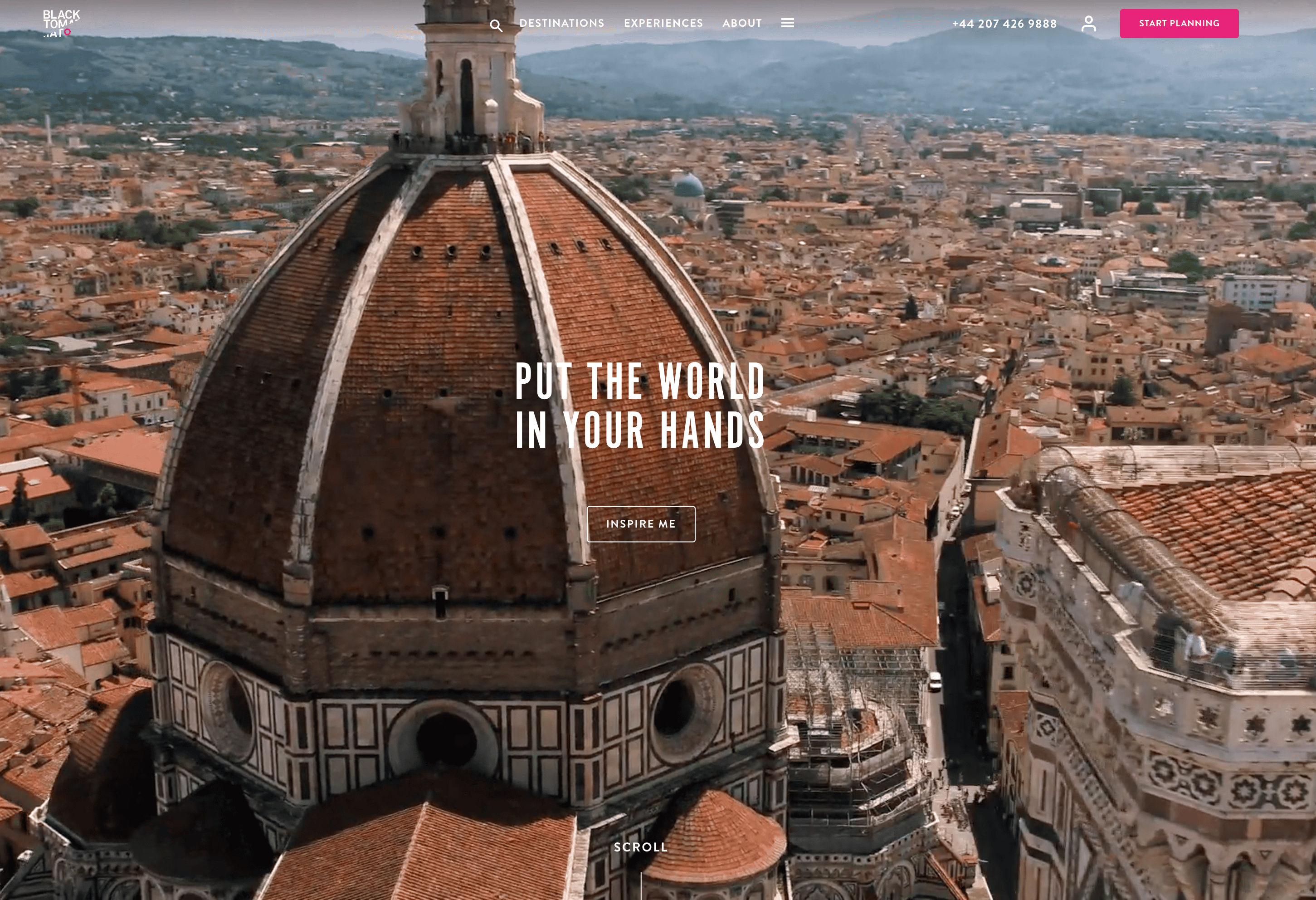 Black Tomato Screenshot