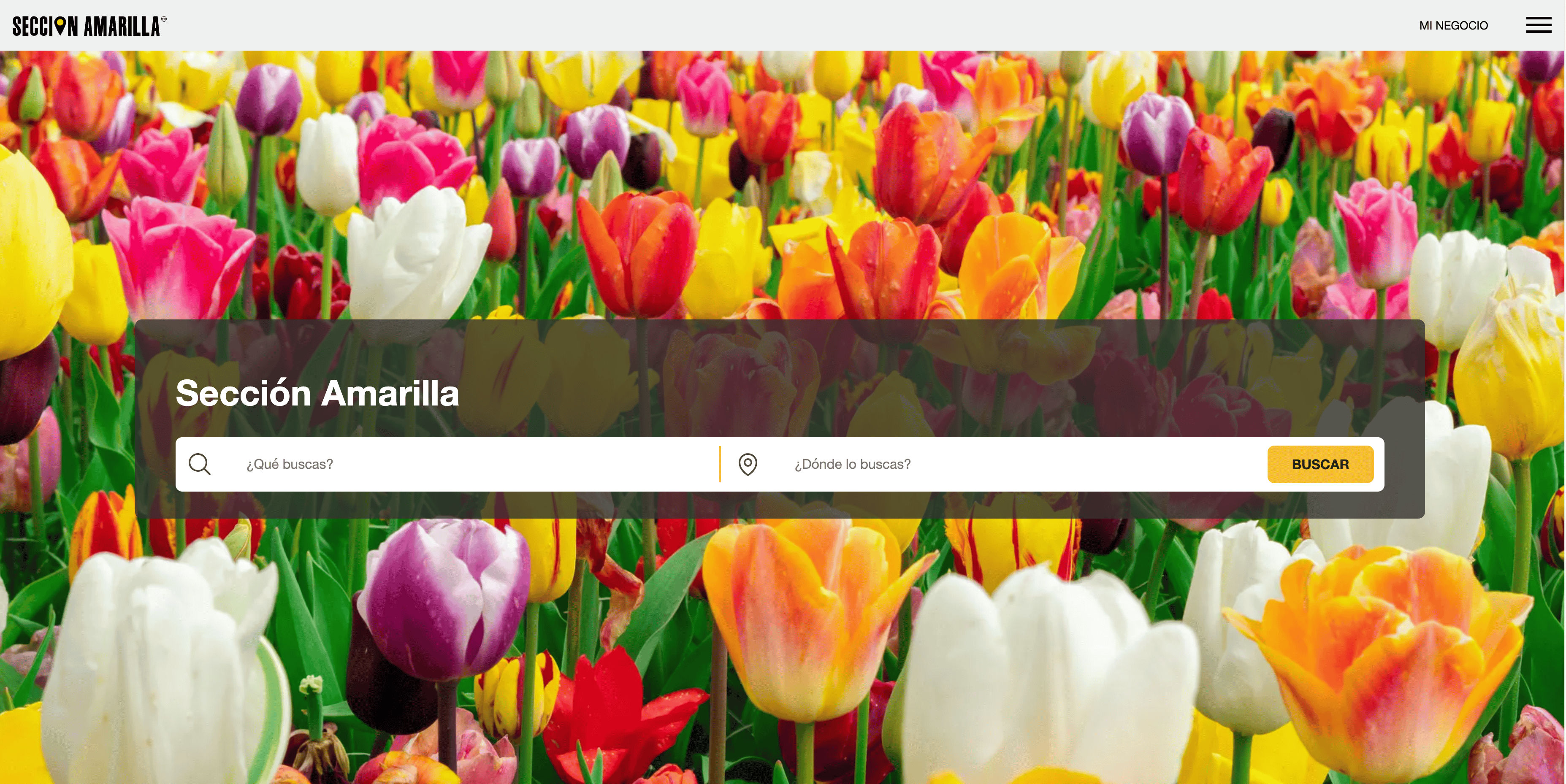 Seccion Amarilla Screenshot