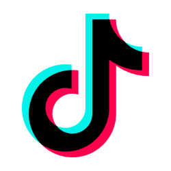 TikTok Video Scraper