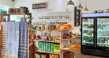 Local Businesses Putting Sustainability First in Tampa Bay