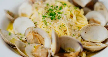 Chopped Winner Opens Trattoria Napoli in Zephyrhills