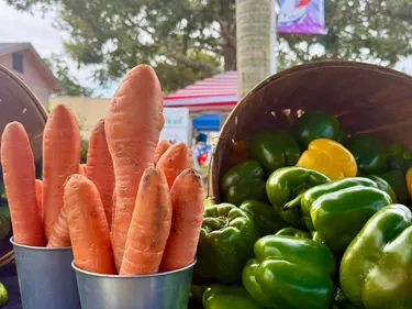 Gulfport Tuesday Market
