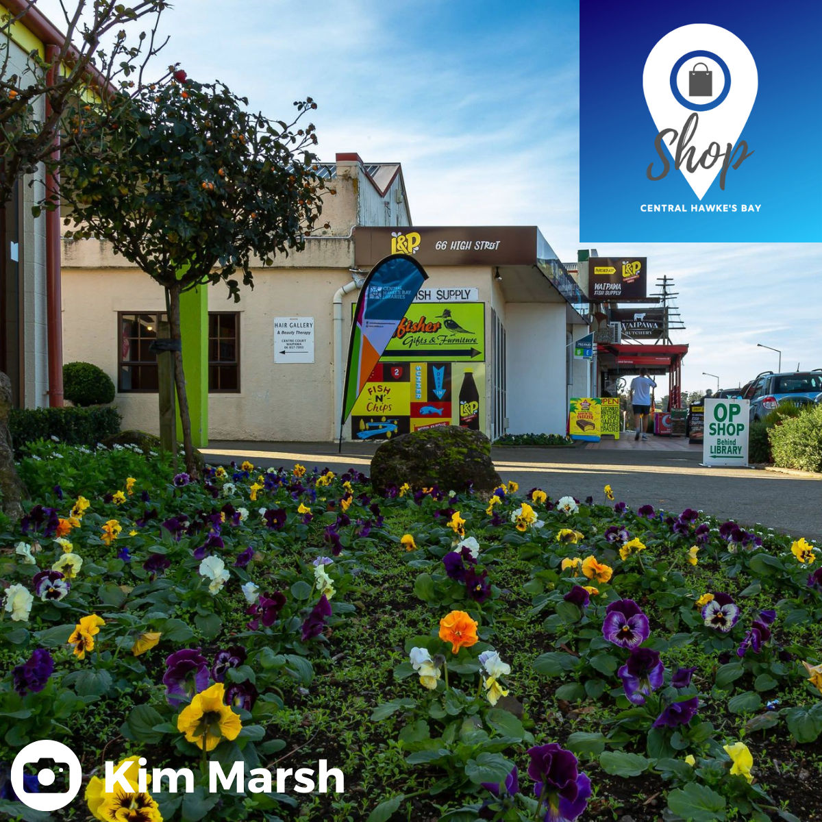 Waipukuraus Find Shop Central Hawke's Bay News, Reviews, and Information