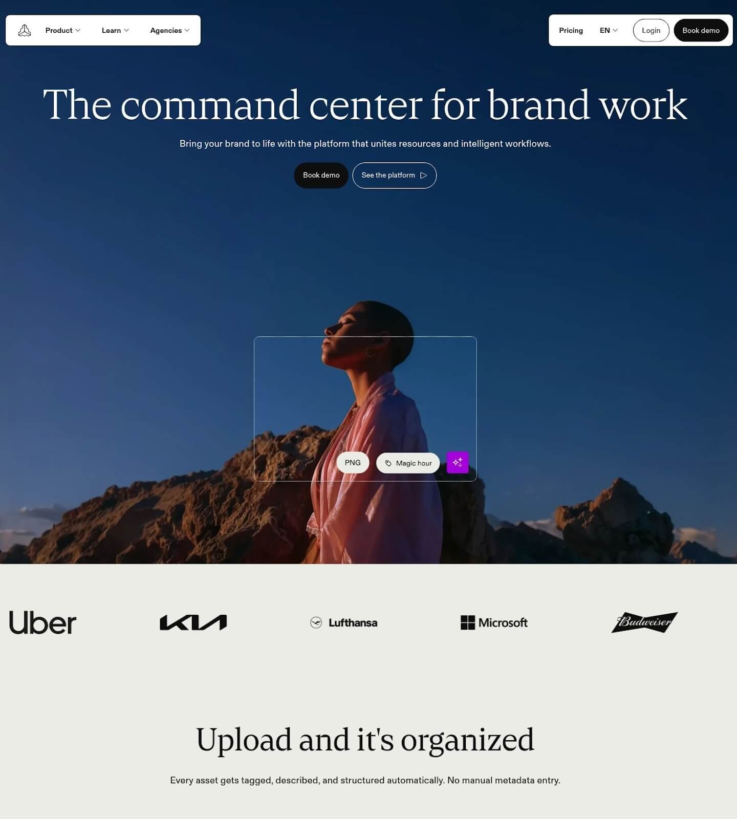 Frontify screenshot