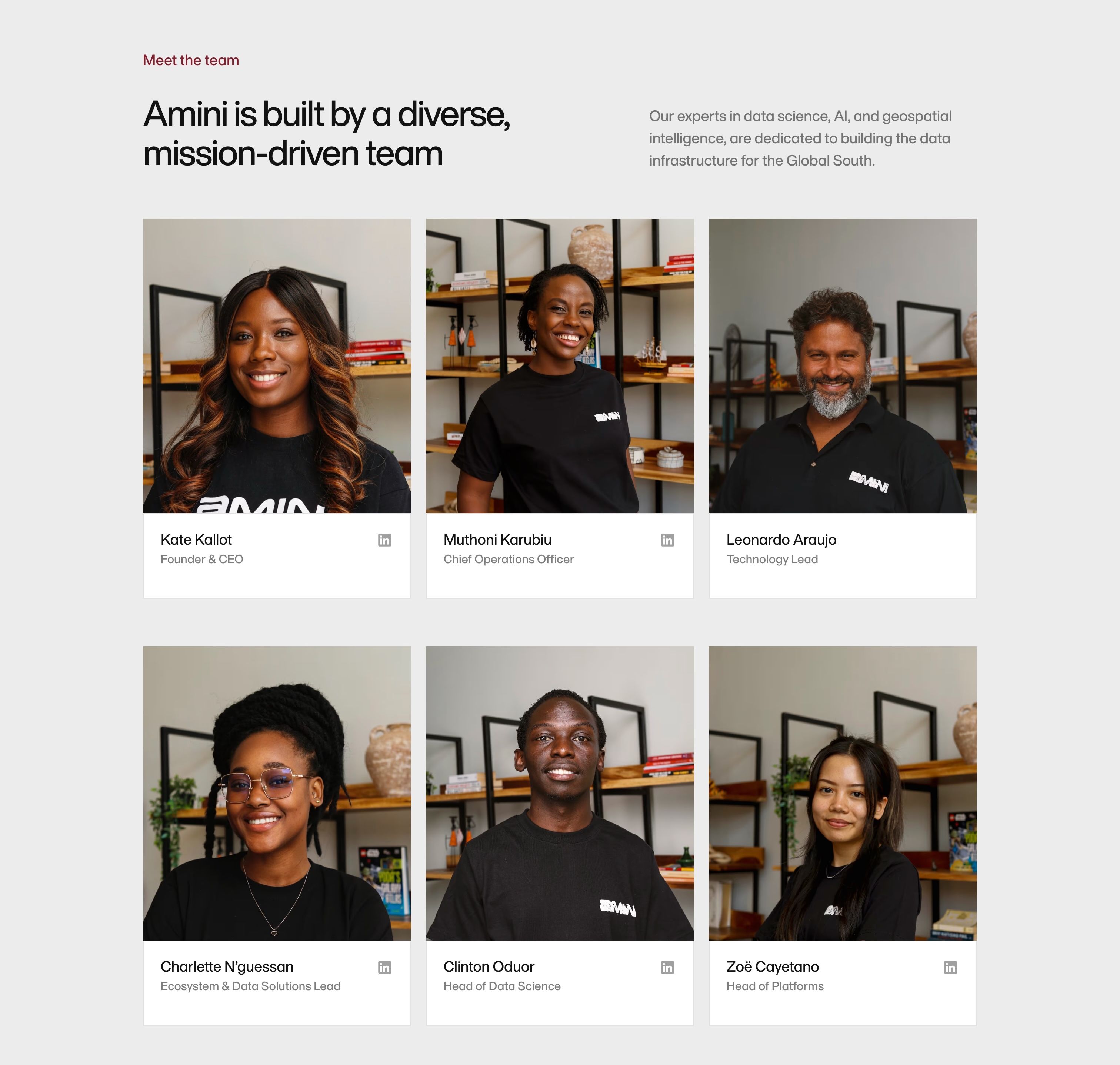 Amini — Team