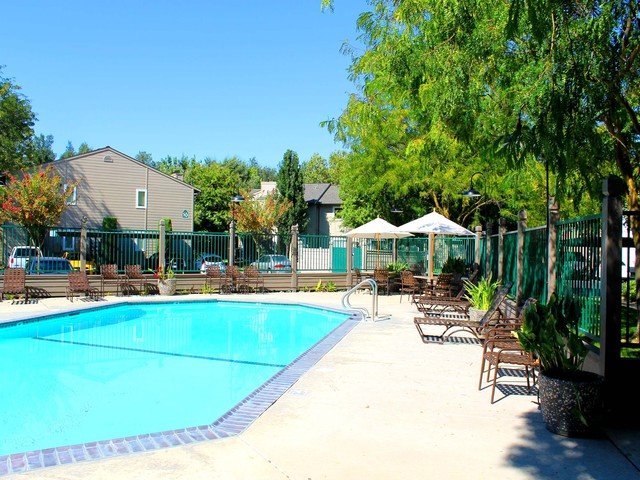 Sparkling Pool Area