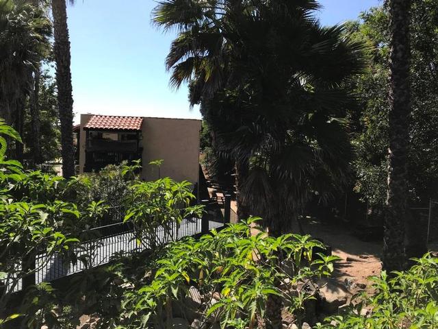 Creek Flowing through  Courtyard