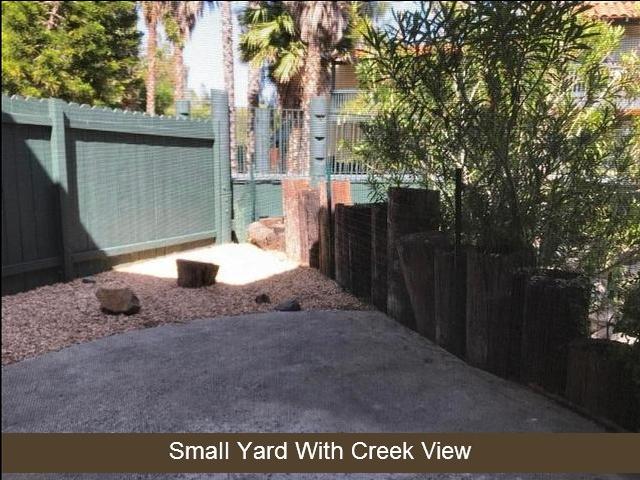 Small back yard with creek view