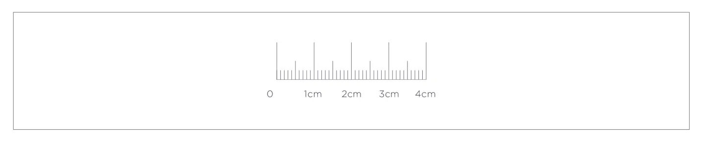 scale