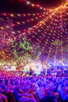 The Darwin Festival