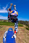 Red Bull Australia