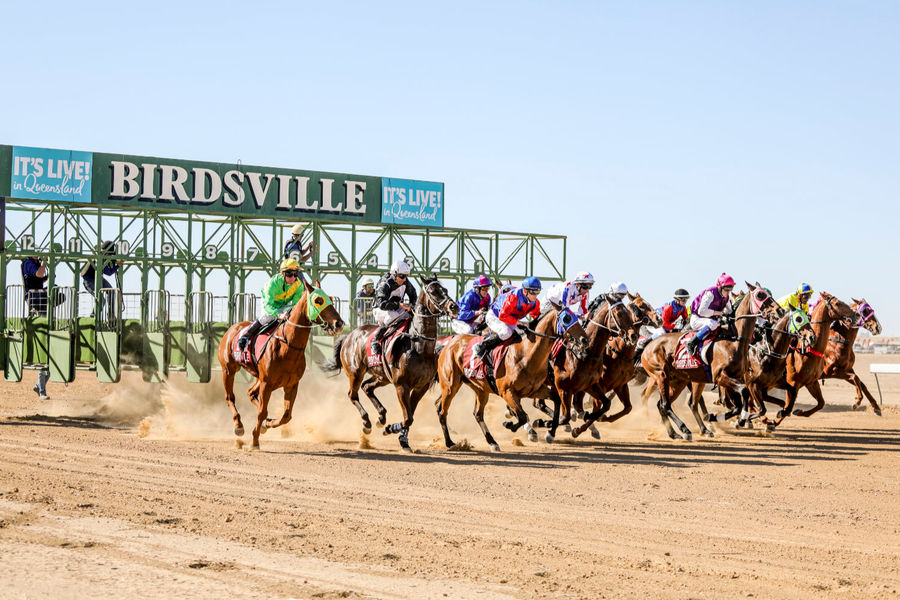 Horses leave the starters gates at the Birdsville Races Horses leave the starters gates at the Birdsville Races