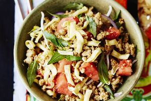 Chicken and Watermelon Noodle Salad