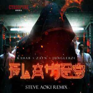 Flames (Steve Aoki Remix) -  R3HAB  x Zayn feat. Jungleboi