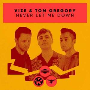 Never Let Me Down -  VIZE & Tom Gregory