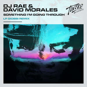 Something I'm Going Through (LP Giobbi Remix) -  DJ Rae & David Morales