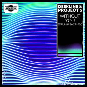 Without You (Drum & Bass Mix) -  Deekline & Project 5