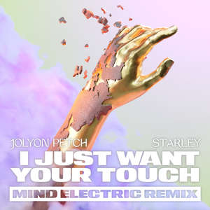 I Just Want Your Touch (Mind Electric Remix) -  Jolyon Petch, Starley