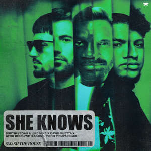 She Knows (with Akon) [Piero Pirupa Remix] -  Dimitri Vegas & Like Mike, David Guetta, Afro Bros