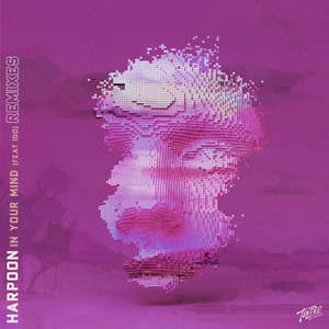 In Your Mind (feat. iDo) [Remixes]  -  Harpoon feat. Ido