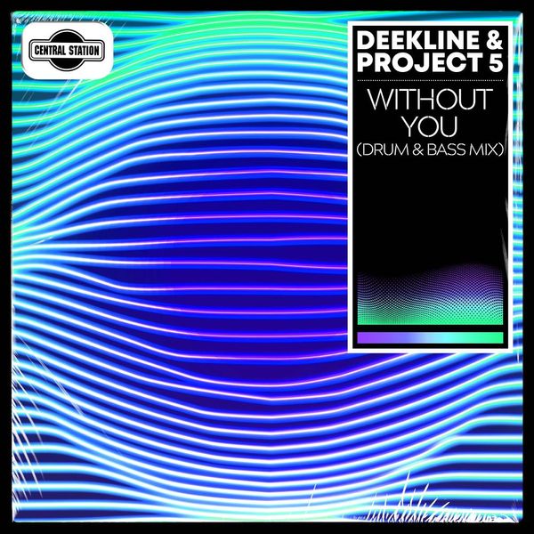 Without You (Drum & Bass Mix) -  Deekline & Project 5