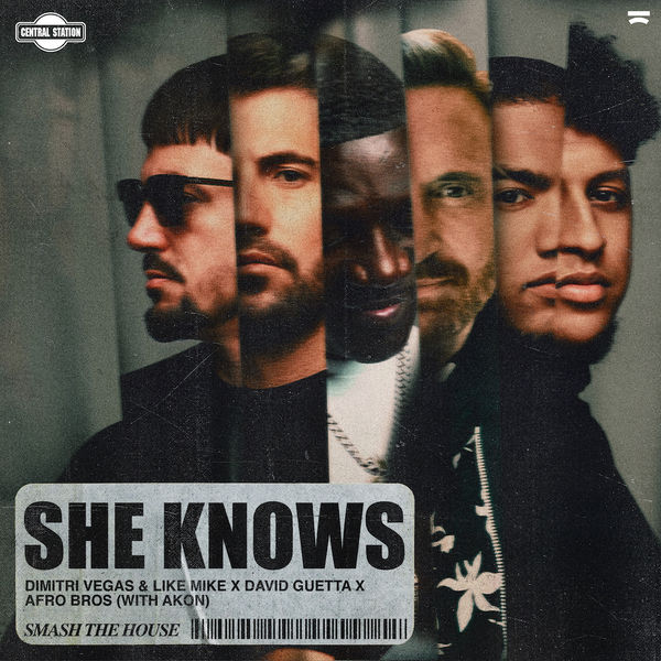 She Knows (with Akon) -  Dimitri Vegas & Like Mike, David Guetta, Afro Bros