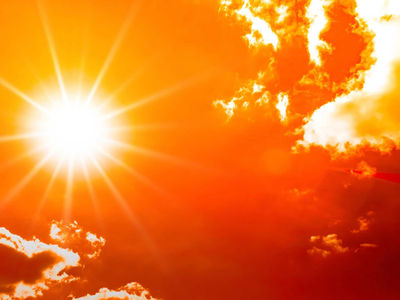 Survive The Heat