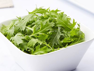 Rocket Salad