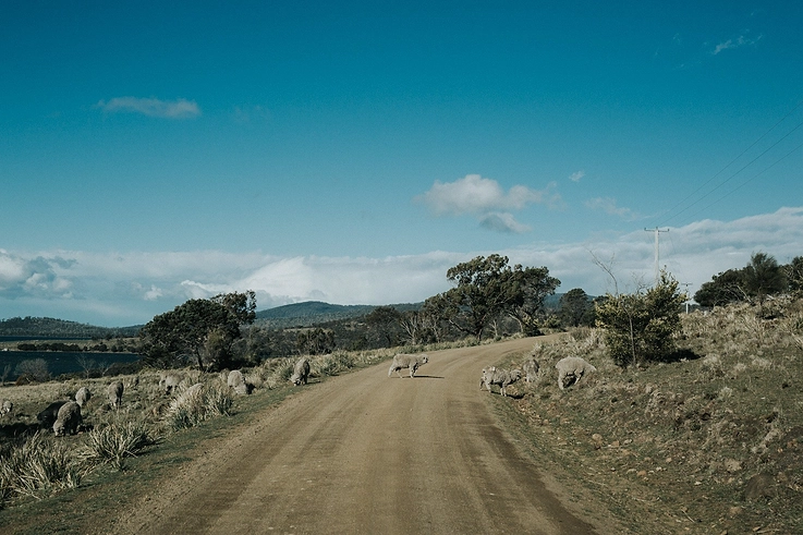 Blog Image