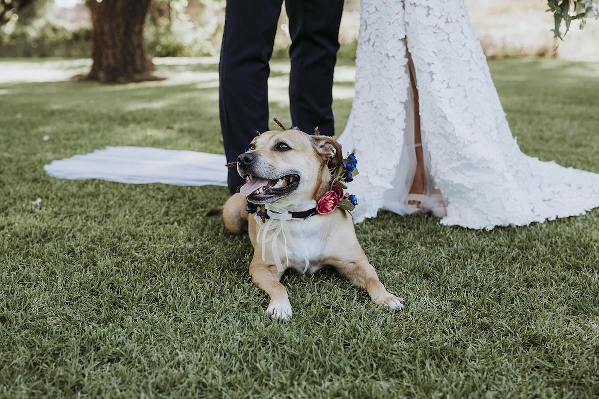 REAL WEDDING: Jasmine + Matt – Old Broadwater Farm