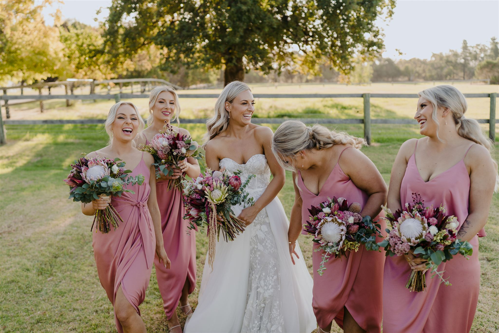 Michael Briggs Photography
