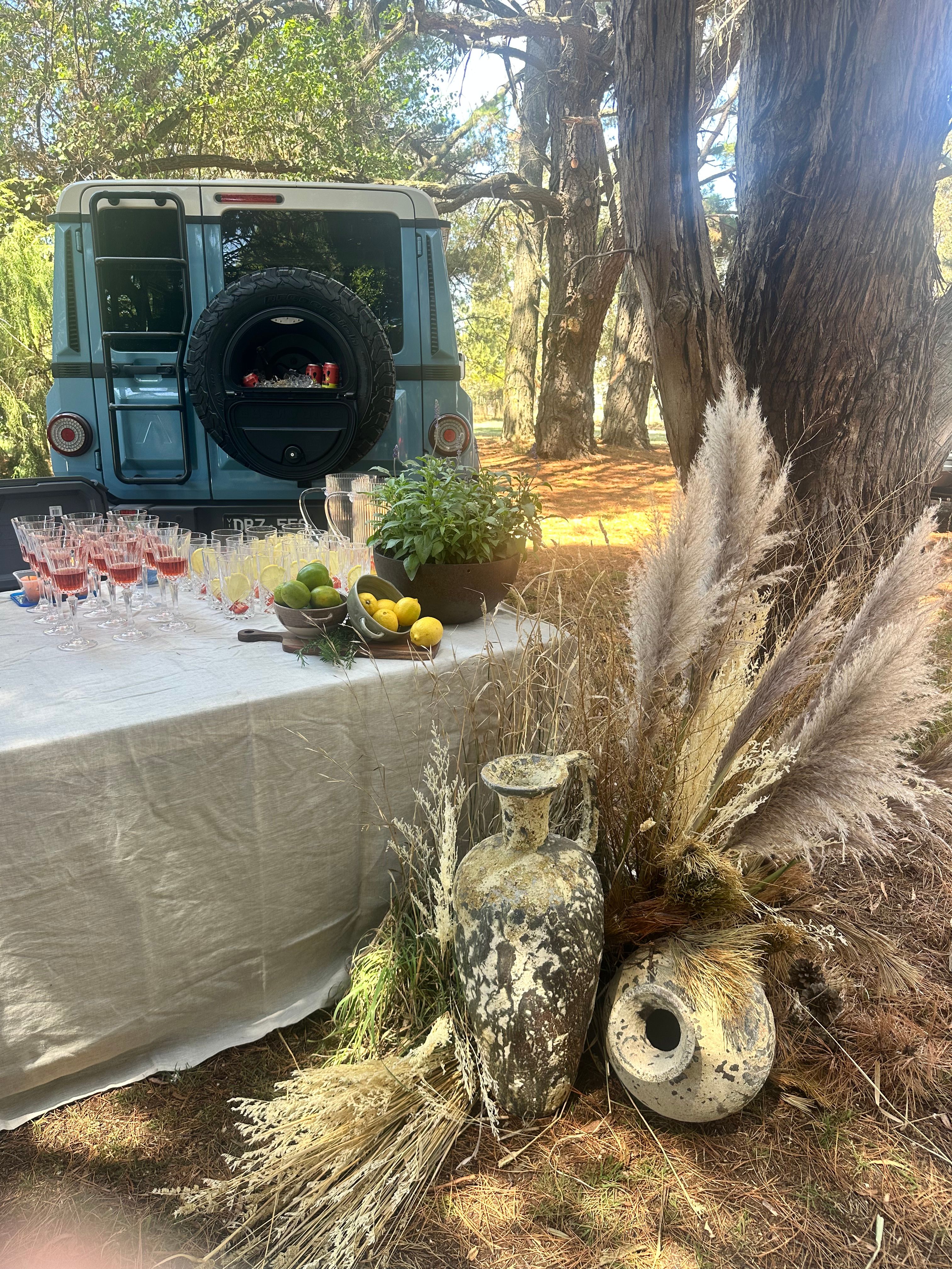 The White Place Events 