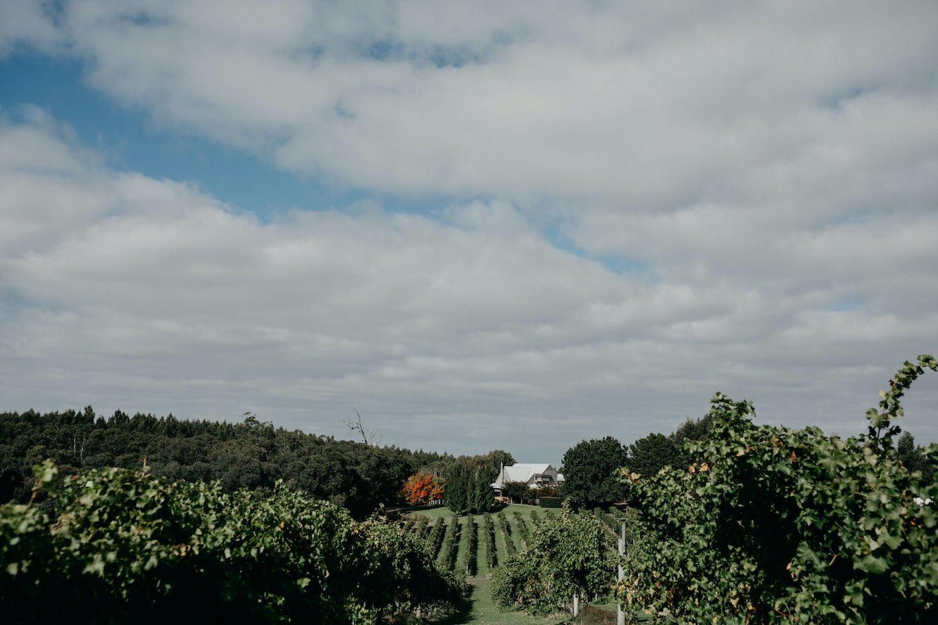 Carrajung Estate (formerly Toms Cap Vineyard)