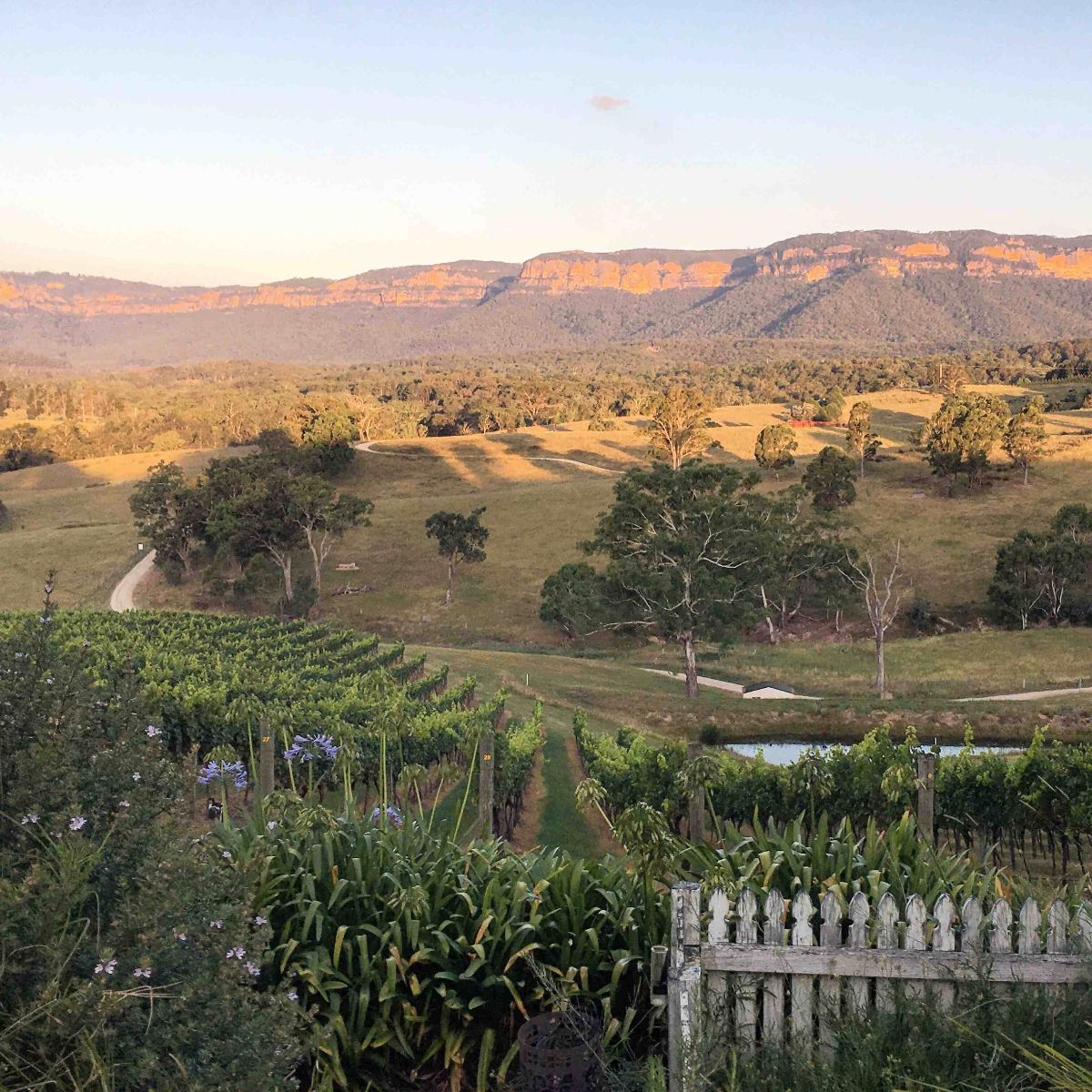 Dryridge Estate