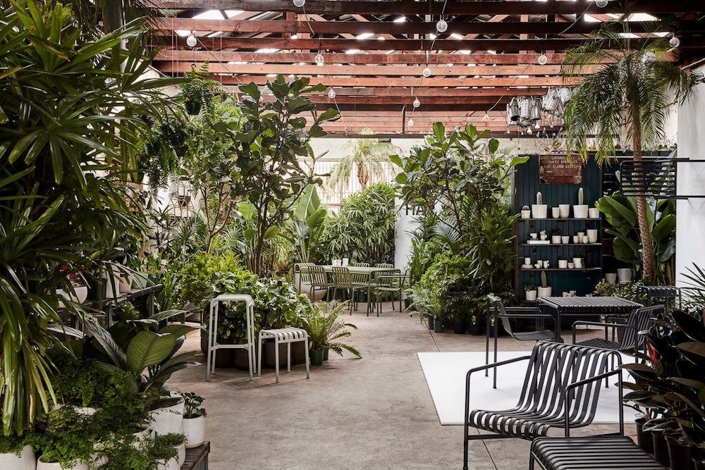 Glasshaus Inside