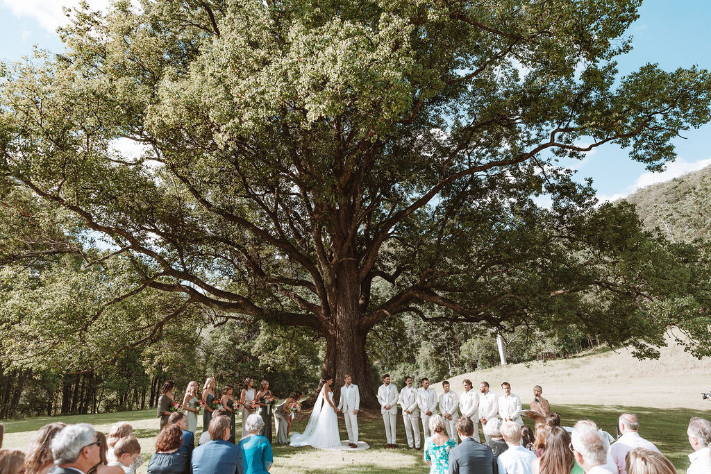 Bebeah Farm – Yarramalong