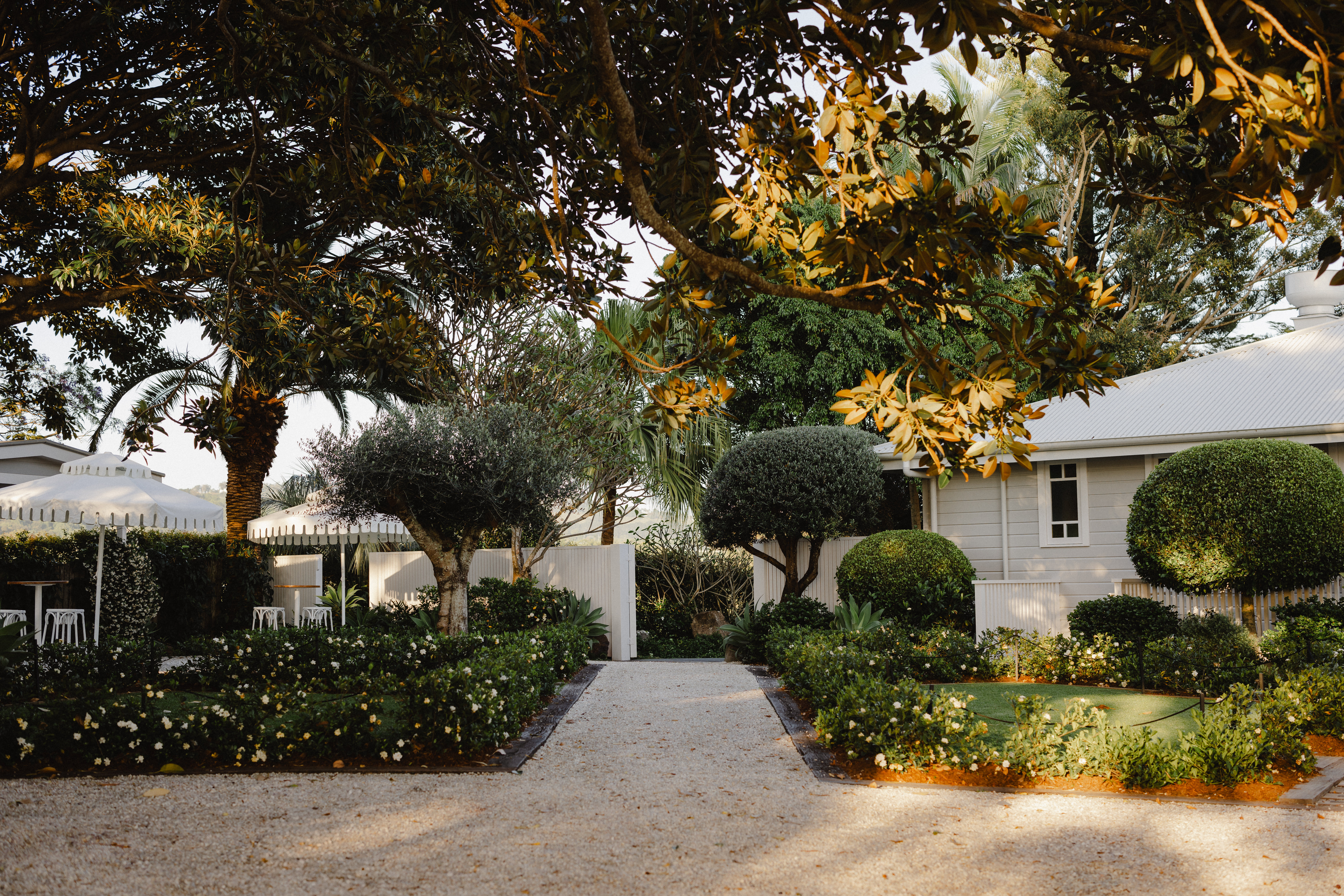Fig Tree Restaurant