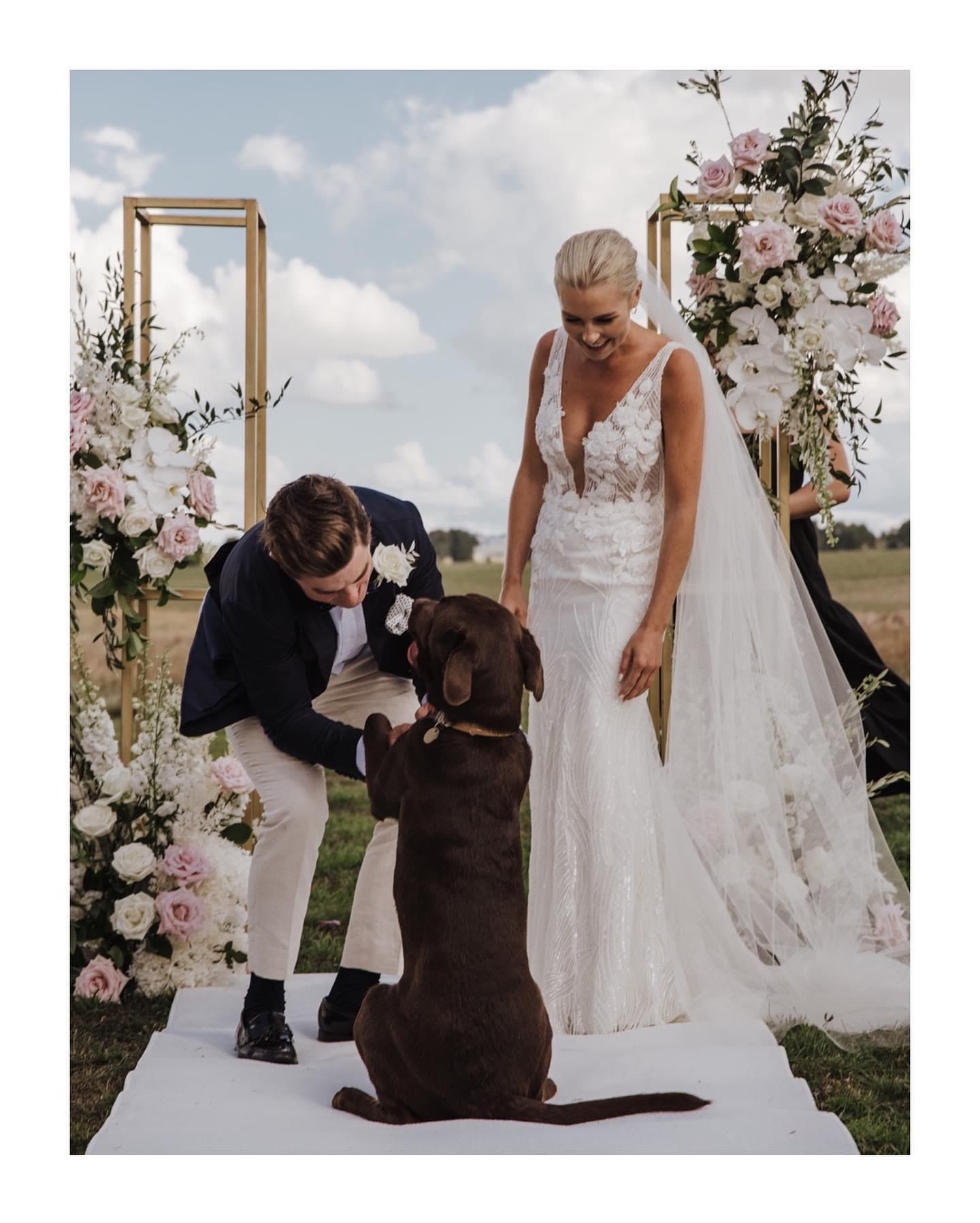 The Hayshed Wedding and Events