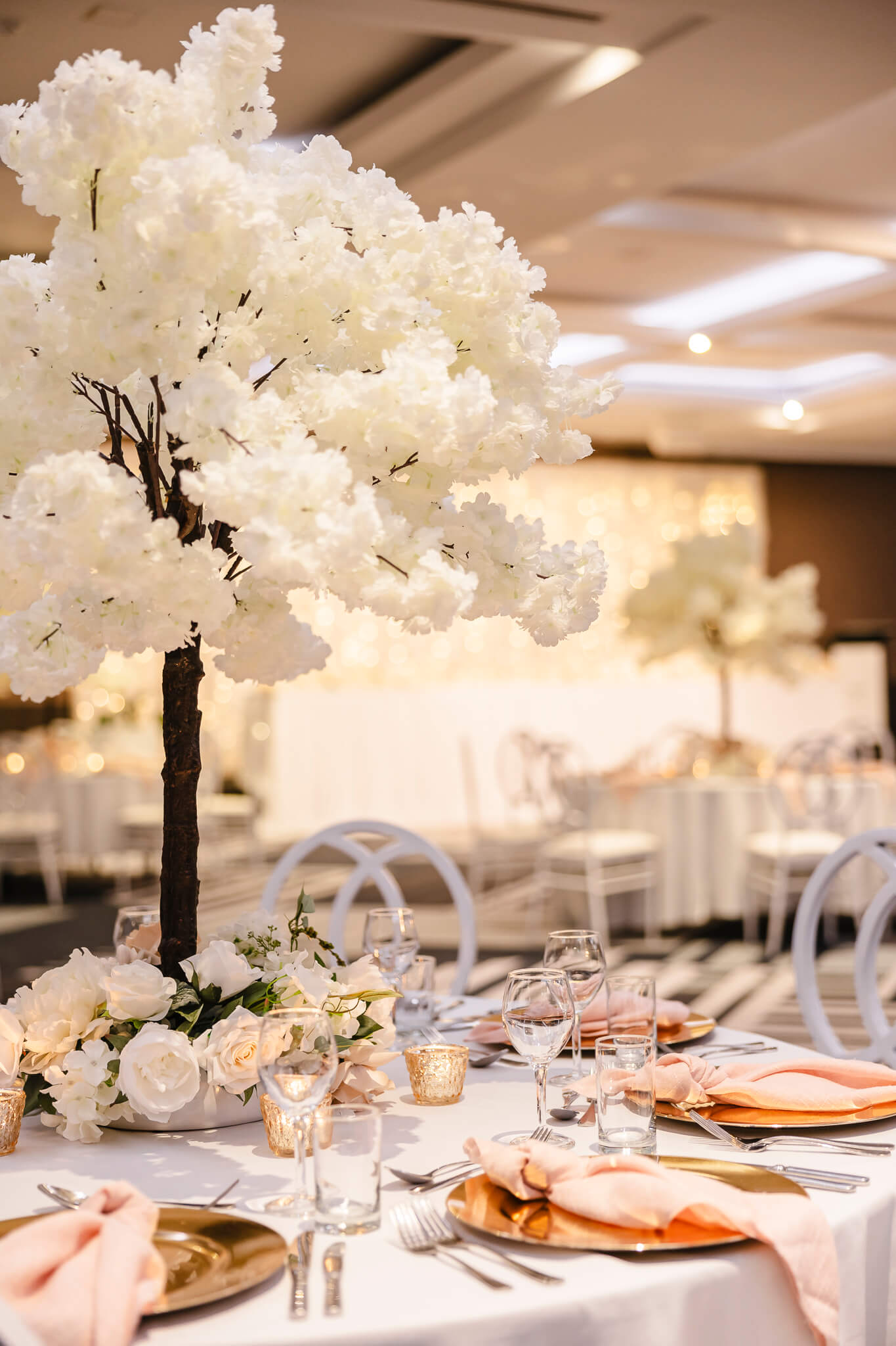 venue-image