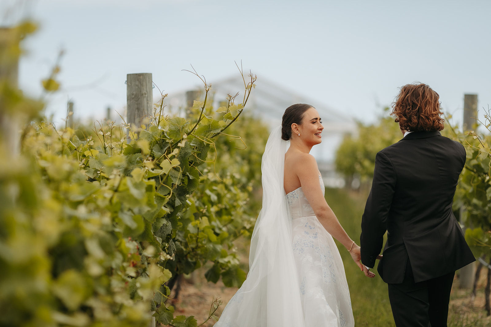 Bangor Vineyard Shed
