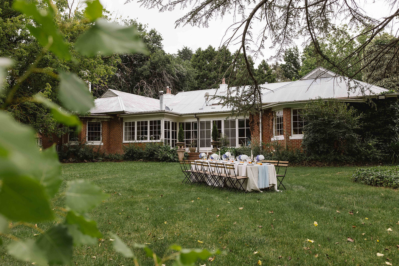 Mayfield Vineyard