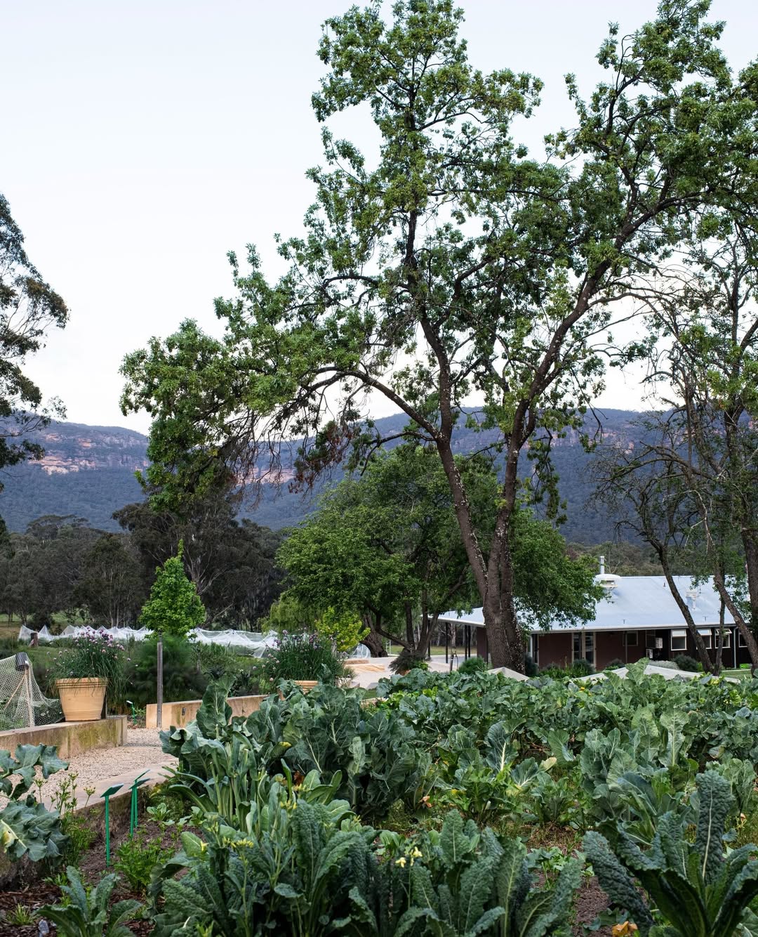 Lot 101:  Megalong Restaurant & The Stables