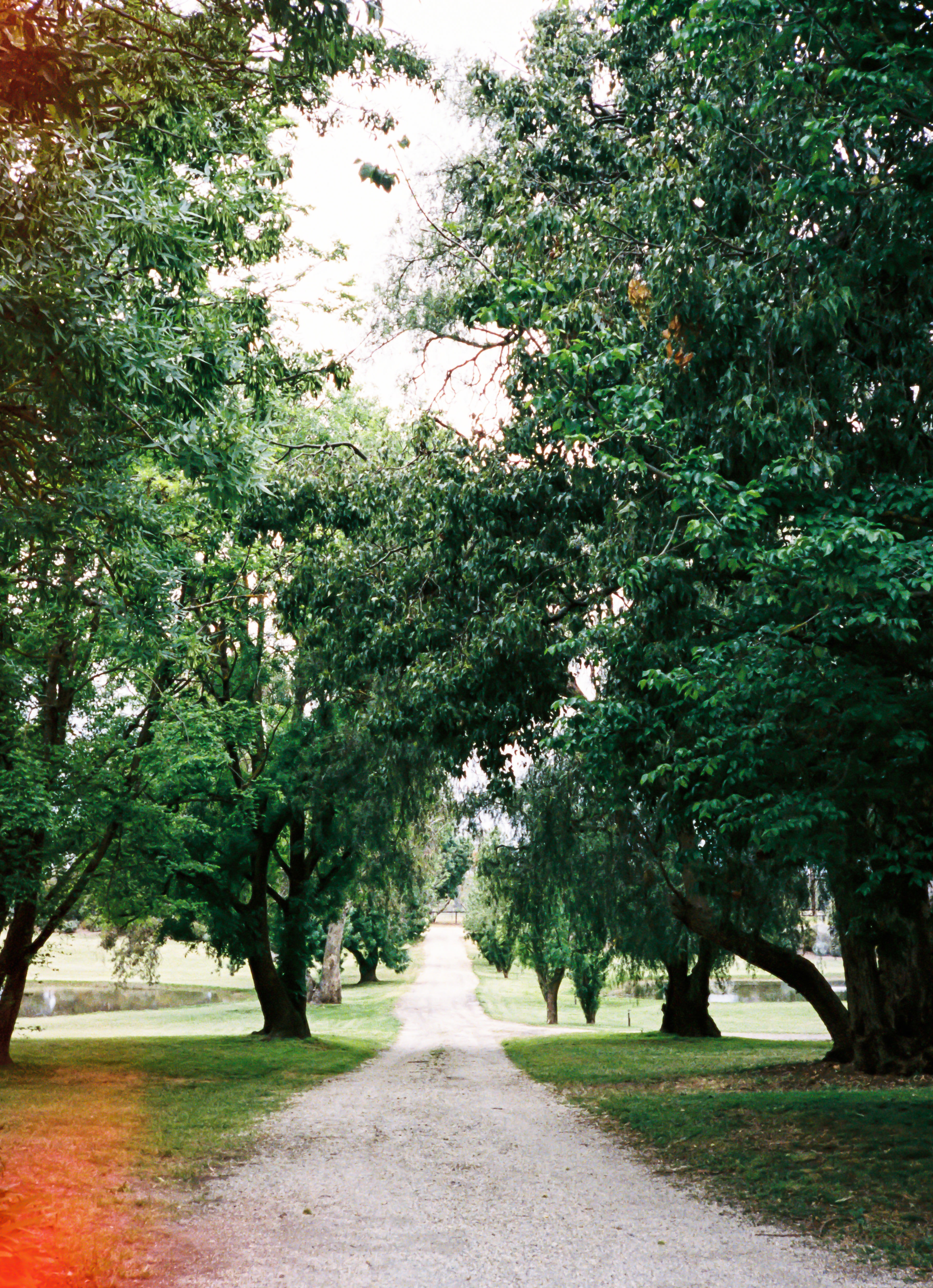 Morningside