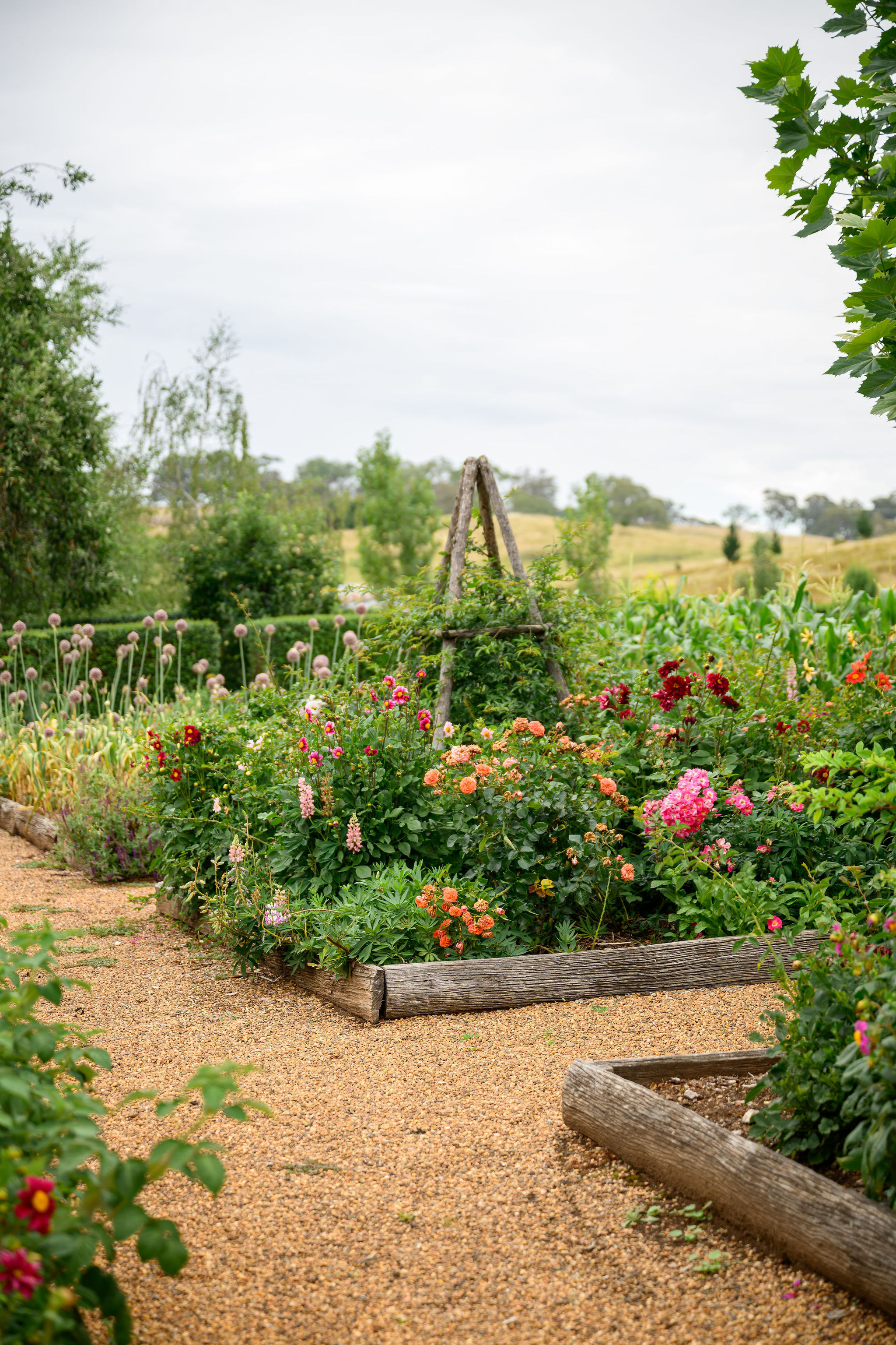 Rosedale Farm