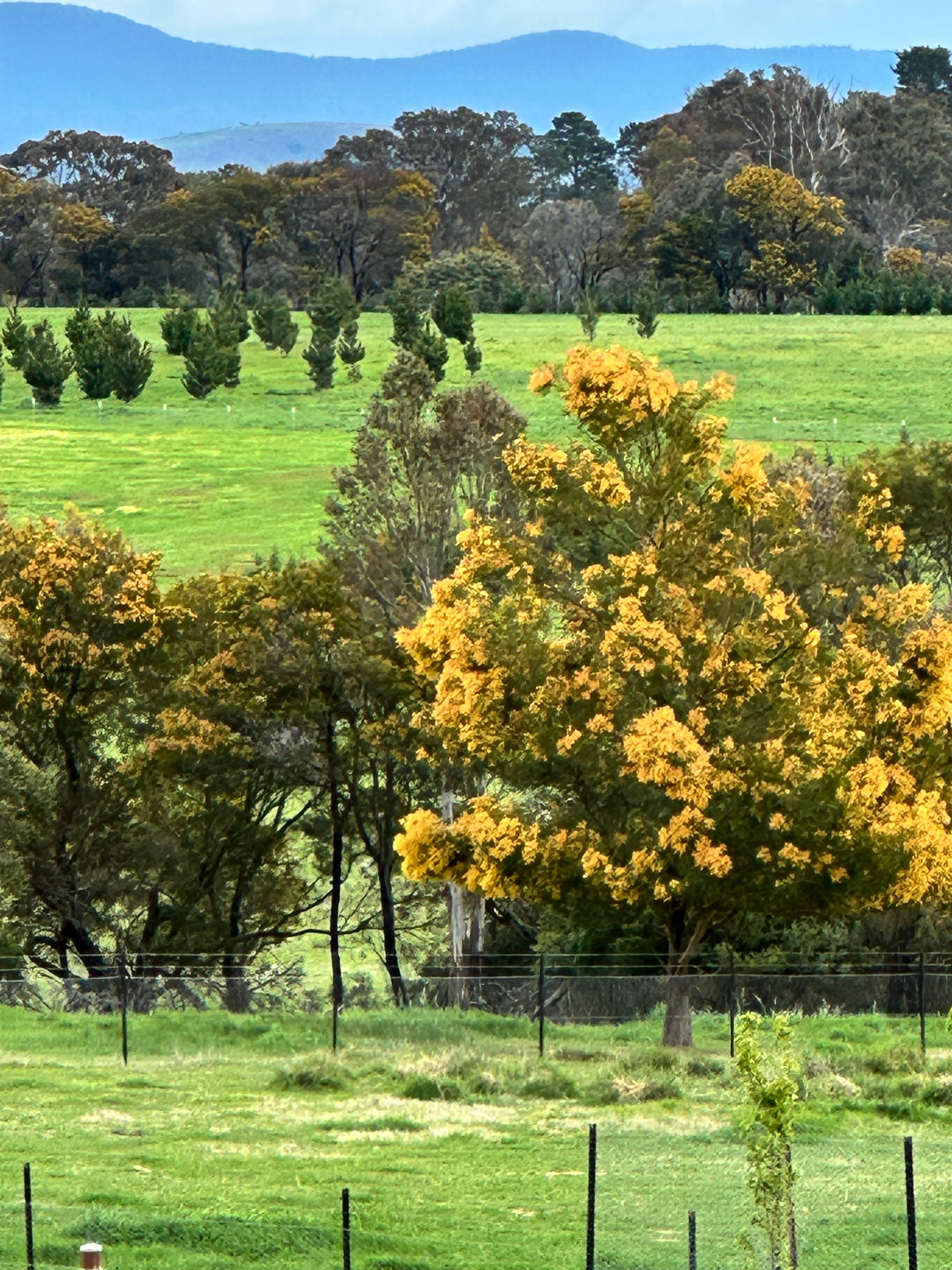 Hampton Park Estate