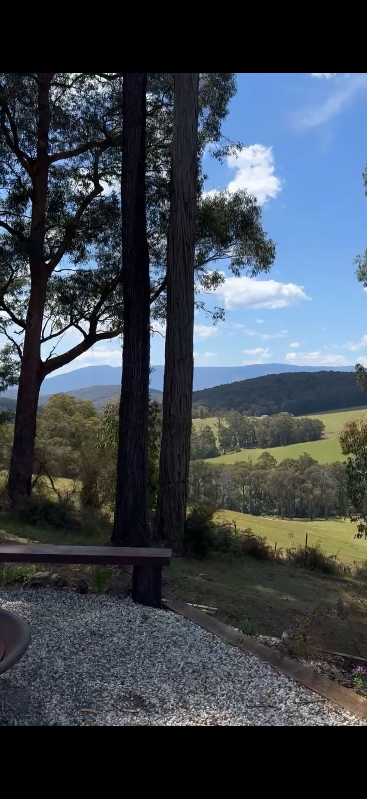 Hoddles Views