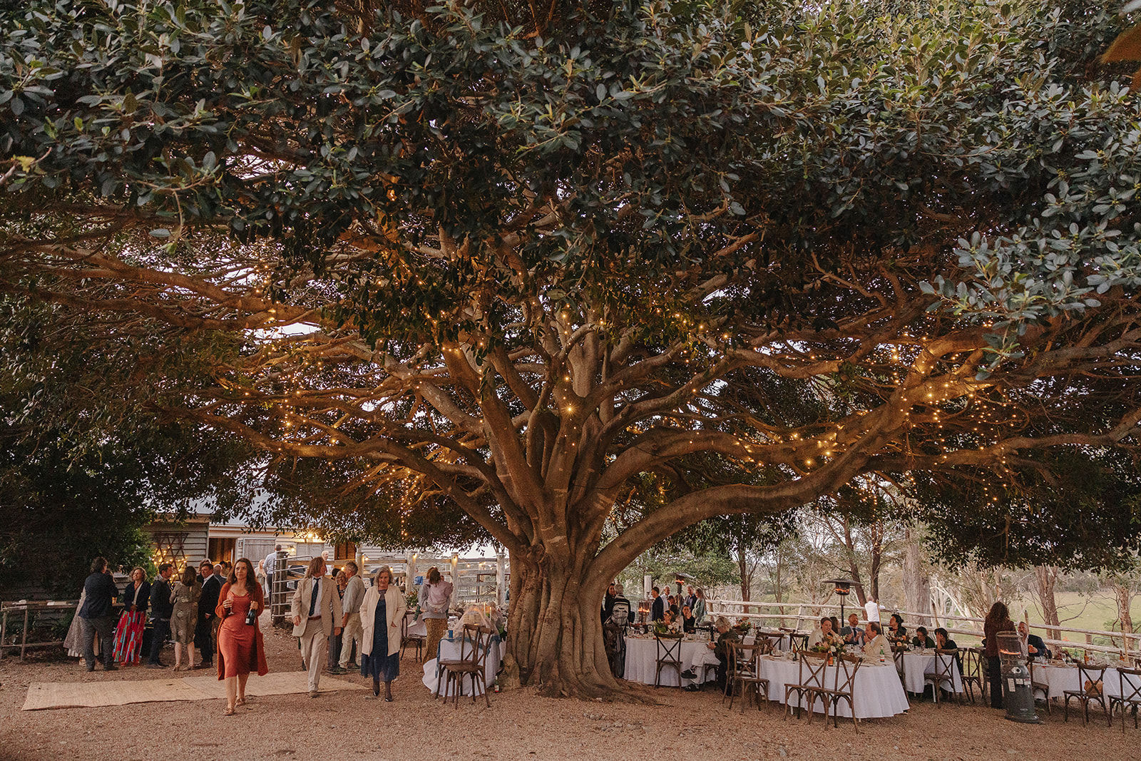 Fig Tree Park